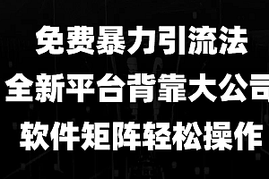 免费暴力引流法,全新平台,背靠大公司,软件矩阵轻松操作