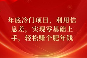 年底冷门项目,利用信息差,实现零基础上手,轻松赚个肥年钱【揭秘】