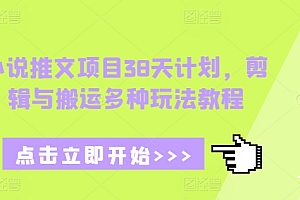 小说推文项目38天计划,剪辑与搬运多种玩法教程