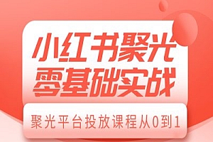 小红书聚光零基础实战,聚光平台投放课程从0到1