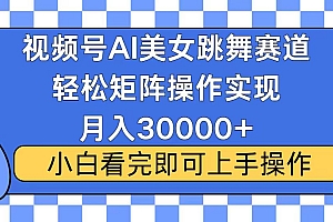 视频号蓝海赛道玩法,当天起号,拉爆流量收益,小白也能轻松月入30000+