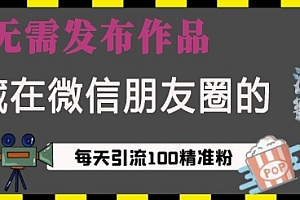 藏在微信朋友圈的流量密码,无需发布作品,单日引流100+精准创业粉【揭秘】
