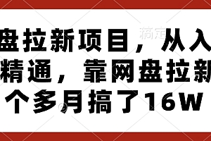 网盘拉新项目,从入门到精通,靠网盘拉新3个多月搞了16W