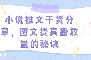 小说推文干货分享,图文提高播放量的秘诀