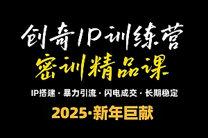 2025年“知识付费IP训练营”小白避坑年赚百万,暴力引流,闪电成交