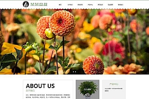 响应式绿植花卉盆栽pbootcms模板(自适应手机端) 办公室盆栽租赁